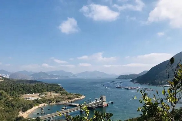 获得香港身份子女可以上学吗