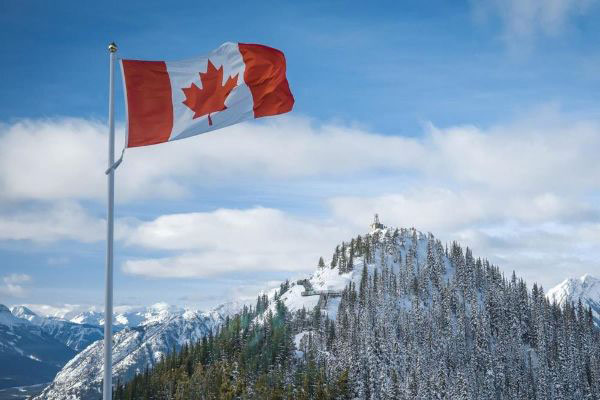 详解加拿大移民申请流程和花费