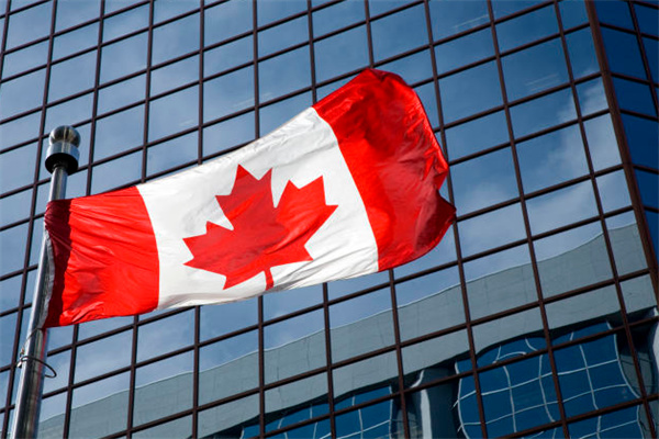 加拿大移民雇主担保类移民成功率高吗？