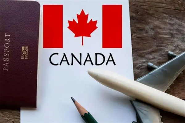 加拿大移民可以自己办理吗？