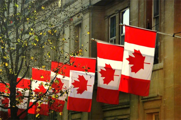 加拿大不同移民项目流程一般都有哪些
