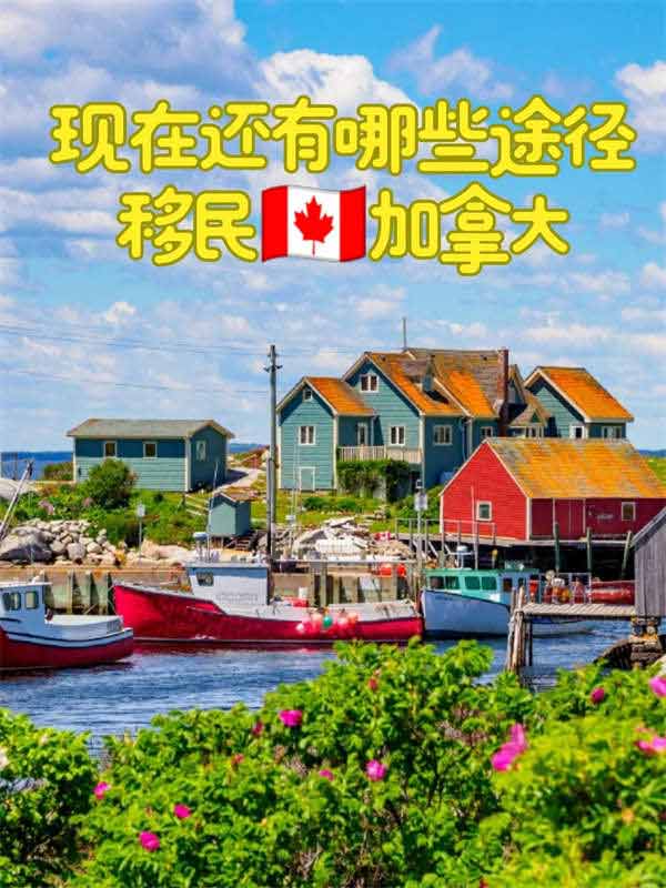 看看还有哪些靠谱路子移民加拿大