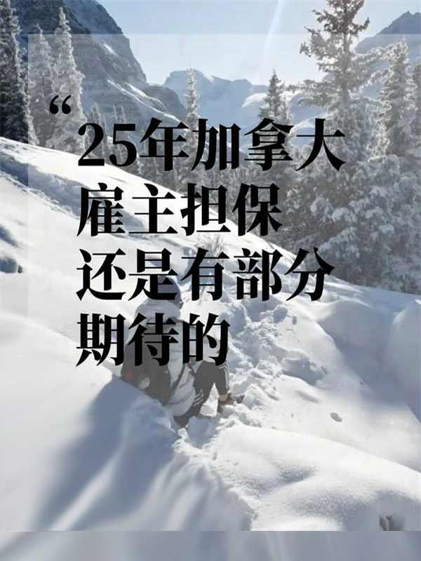 25年加拿大雇主担保方面还有一点吸引力