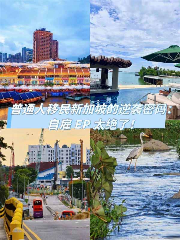 普通人移民新加坡的逆袭密码！