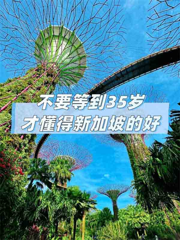 35岁想换环境？这篇新加坡移民攻略收好