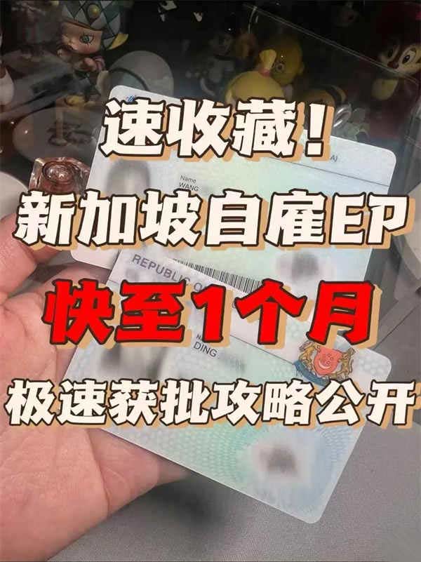 速收藏！新加坡自雇EP快至1个月获批攻略公开