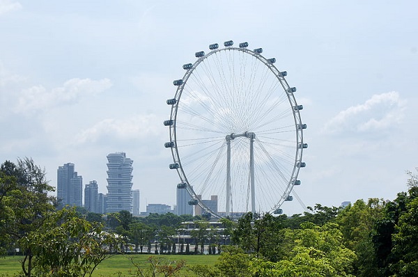 小国大实力2025新加坡移民怎么选