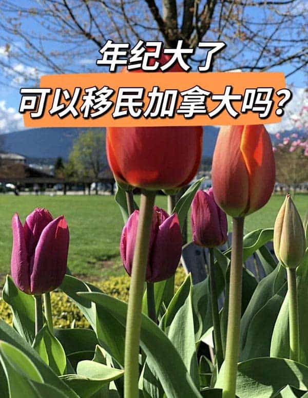 年纪是道坎！年纪大了可以移民加拿大吗？