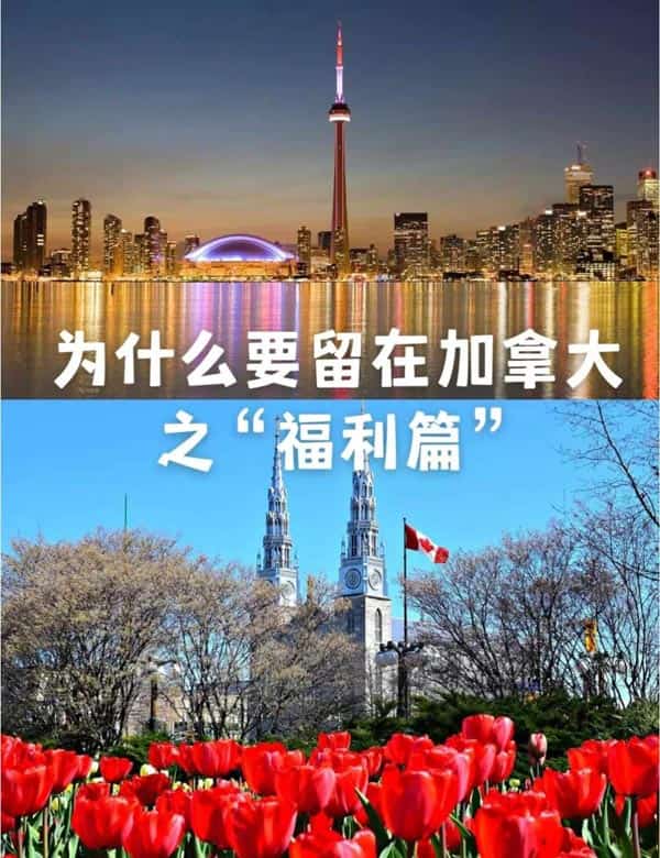 为什么要留在加拿大之“福利篇”