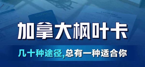 加拿大移民胜率最高的4大人群