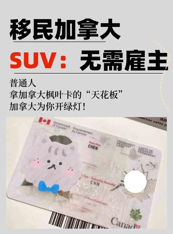 普通人拿加拿大枫叶卡的天花板？SUV：无需雇主，国家为你开绿灯！