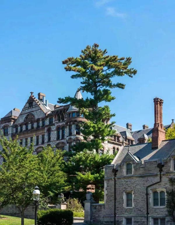 关于美国L1签证的一些细节 关于美国L1签证的一些细节