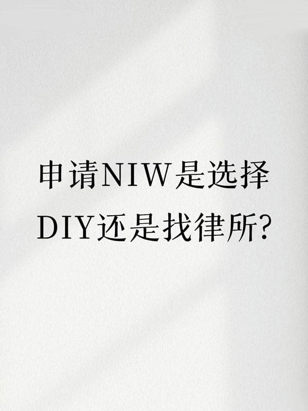 申请美国NIW移民是选择DIY还是找专业移民机构？